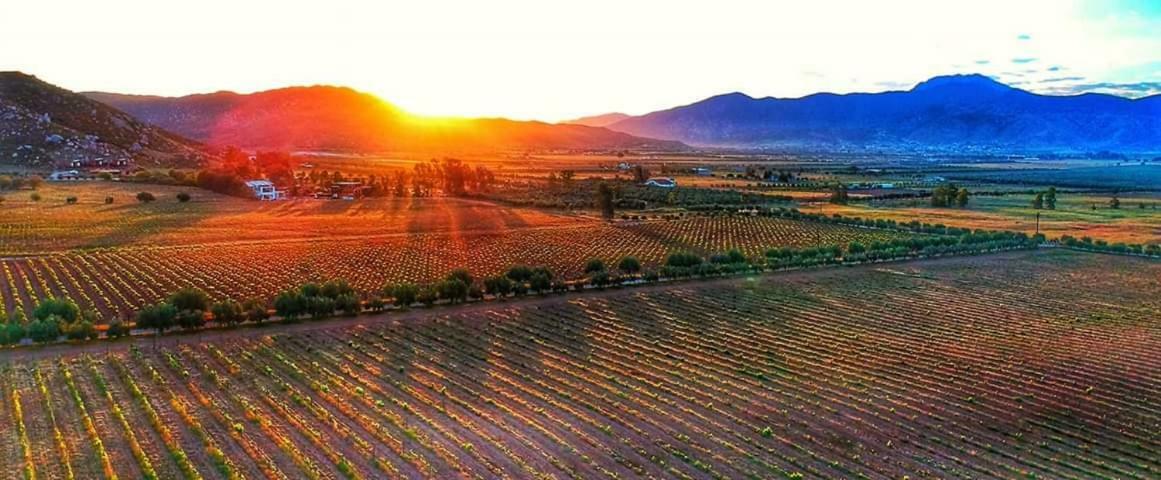 Villa Corsua Valle de Guadalupe Eksteriør bilde