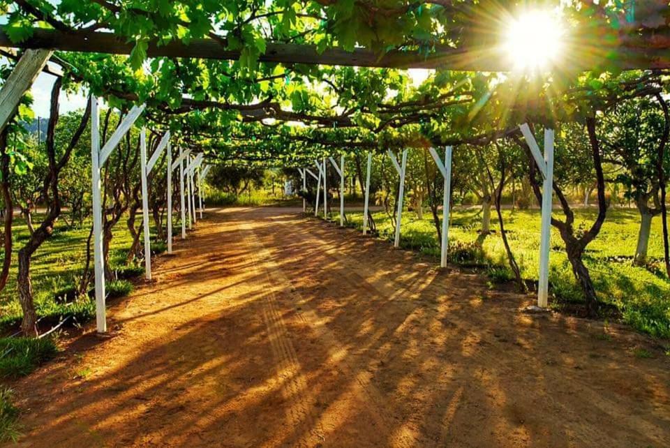 Villa Corsua Valle de Guadalupe Eksteriør bilde